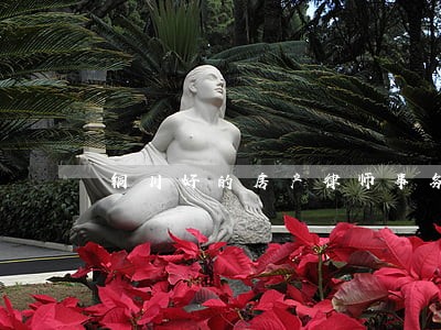 铜川好的房产律师事务所 铜川好的房产律师事务所