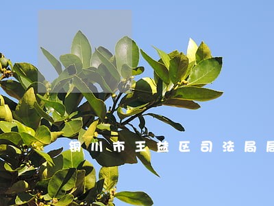 铜川市王益区司法局局长 铜川市王益区司法局局长