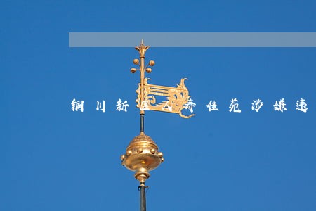 铜川新区人寿佳苑涉嫌违法销售 铜川新区人寿佳苑涉嫌违法销售