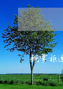 铜掌柜逾期不回款怎样立案 铜掌柜逾期不回款怎样立案