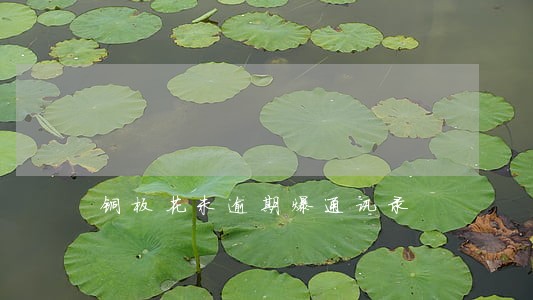 铜板花未逾期爆通讯录 铜板花未逾期爆通讯录