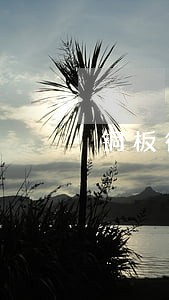 铜板街最近逾期情况说明 铜板街最近逾期情况说明