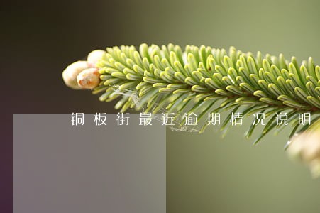 铜板街最近逾期情况说明怎么写 铜板街最近逾期情况说明怎么写