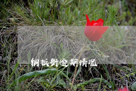 铜板街逾期情况 铜板街逾期情况