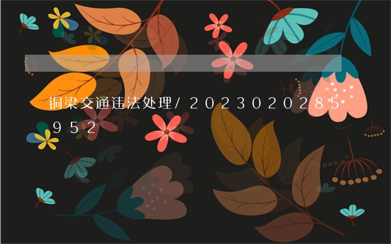 铜梁交通违法处理/2023020285952