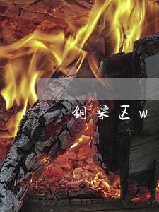 铜梁区wto事务法律咨询热线 铜梁区wto事务法律咨询热线