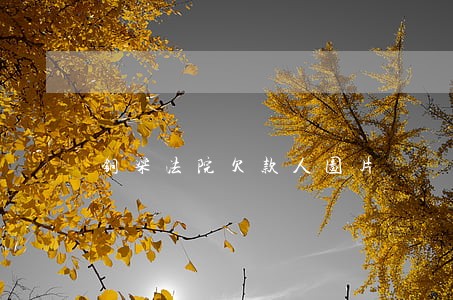 铜梁法院欠款人图片 铜梁法院欠款人图片
