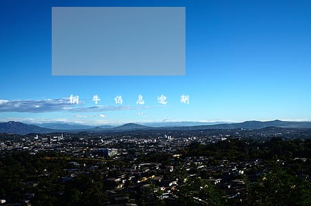 铜牛信息逾期 铜牛信息逾期