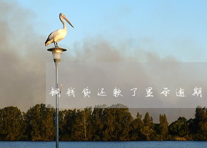 铜钱贷还款了显示逾期 铜钱贷还款了显示逾期