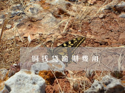 铜钱贷逾期费用 铜钱贷逾期费用
