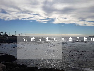 铜陵专业刑事案子律师 铜陵专业刑事案子律师