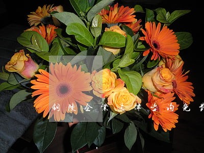 铜陵企业法律咨询免费 铜陵企业法律咨询免费