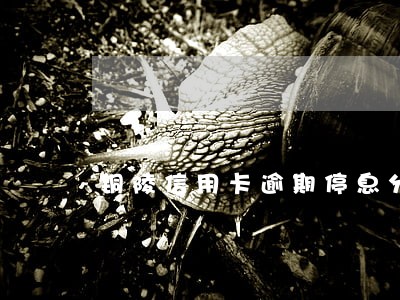 铜陵信用卡逾期停息分期怎么协商 铜陵信用卡逾期停息分期怎么协商