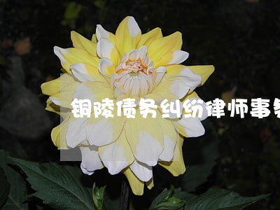 铜陵债务纠纷律师事务所排名 铜陵债务纠纷律师事务所排名