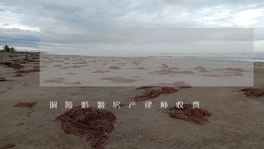 铜陵婚姻房产律师收费 铜陵婚姻房产律师收费