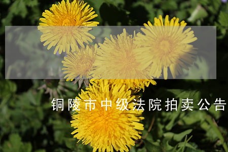 铜陵市中级法院拍卖公告