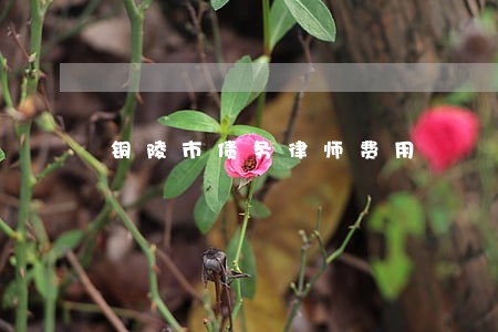 铜陵市债务律师费用 铜陵市债务律师费用