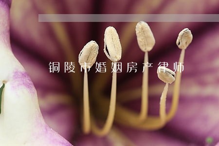 铜陵市婚姻房产律师 铜陵市婚姻房产律师