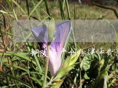 铜陵房产纠纷律师费用 铜陵房产纠纷律师费用