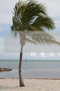 铜陵法院赵萍简历