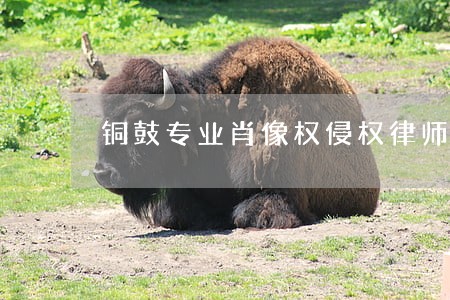 铜鼓专业肖像权侵权律师 铜鼓专业肖像权侵权律师