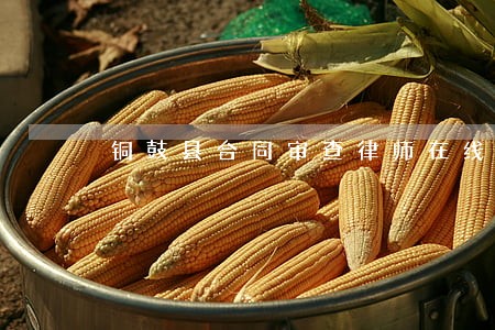 铜鼓县合同审查律师在线免费咨询 铜鼓县合同审查律师在线免费咨询