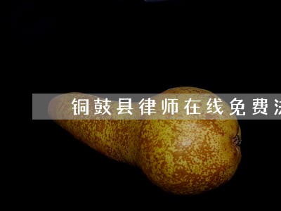 铜鼓县律师在线免费法律咨询 铜鼓县律师在线免费法律咨询