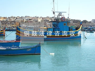 铜鼓法律咨询收费标准 铜鼓法律咨询收费标准