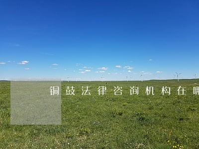 铜鼓法律咨询机构在哪里 铜鼓法律咨询机构在哪里