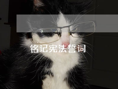 铭记宪法誓词 铭记宪法誓词