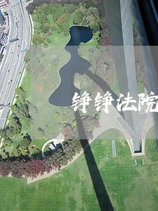 铮铮法院情