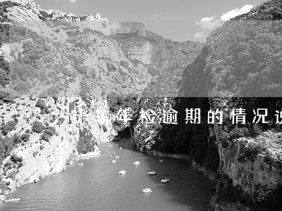 铲车年检逾期的情况说明 铲车年检逾期的情况说明
