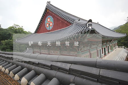 铲车无照驾驶 铲车无照驾驶