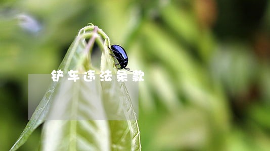 铲车违法条款 铲车违法条款
