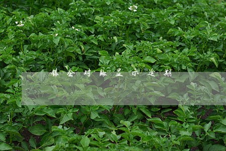 银企对账显示逾期 银企对账显示逾期