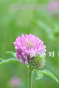 银企对账逾期会冻结账户么 银企对账逾期会冻结账户么