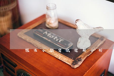 银保小额贷款逾期分析