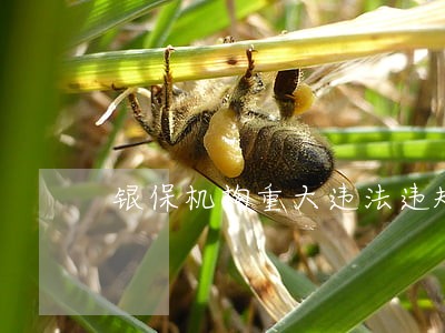 银保机构重大违法违规股东公开 银保机构重大违法违规股东公开