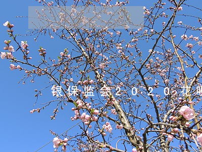 银保监会2020花呗逾期半年了 银保监会2020花呗逾期半年了
