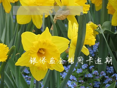 银保监会信用卡逾期 银保监会信用卡逾期
