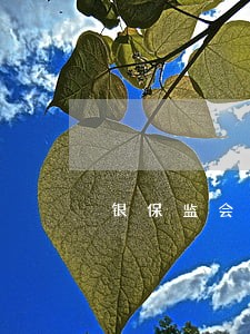 银保监会对信用卡逾期规定 银保监会对信用卡逾期规定