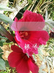 银保监会没收违法所得