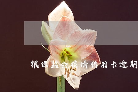 银保监会疫情信用卡逾期 银保监会疫情信用卡逾期