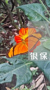 银保监关于贷款逾期协商