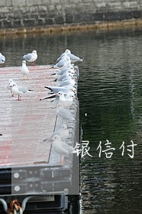 银信付逾期三个月 银信付逾期三个月