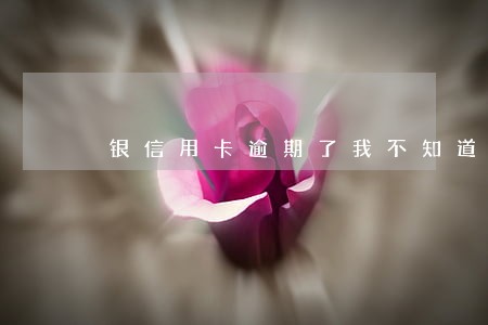 银信用卡逾期了我不知道怎么办 银信用卡逾期了我不知道怎么办