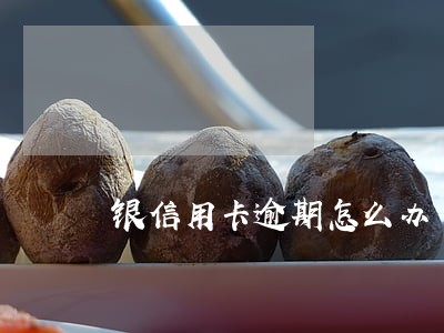 银信用卡逾期怎么办