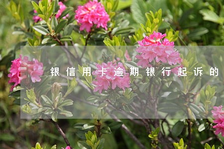 银信用卡逾期银行起诉的多嘛 银信用卡逾期银行起诉的多嘛