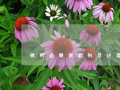 银利逾期贷款利息计算器 银利逾期贷款利息计算器