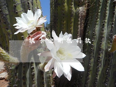 银卡逾期被罚款 银卡逾期被罚款